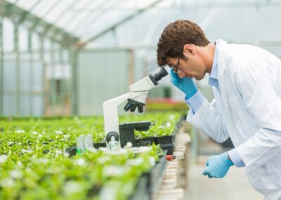 SAP en Syngenta werken samen voor grootschalige inzet van AI in de landbouw