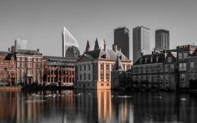 ‘De overheid moet haar digitale fundament herontwerpen’