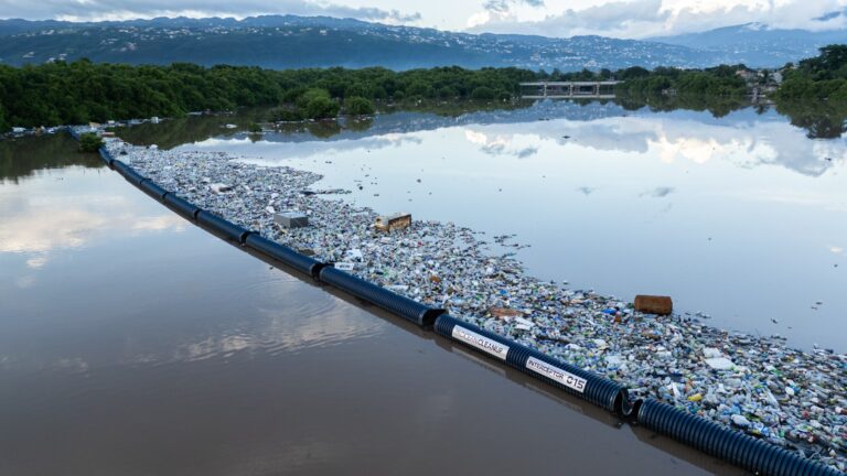The Ocean Cleanup zet volgende stap in digitale transformatie met SAP S/​4HANA Cloud, Public Edition