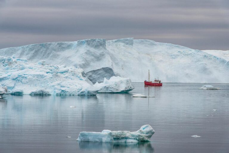 Royal Greenland legt stevige AI-basis met SAP-cloudtechnologie